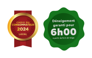 Chasse-Neige : Choix du consommateur 2024